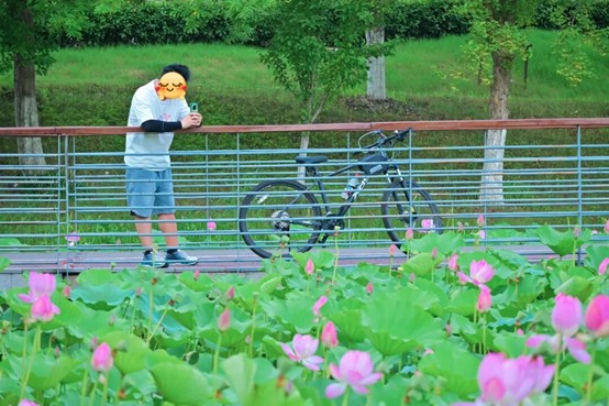 2026逛青浦环城水系公园指南 2026逛青浦环城水系公园指南