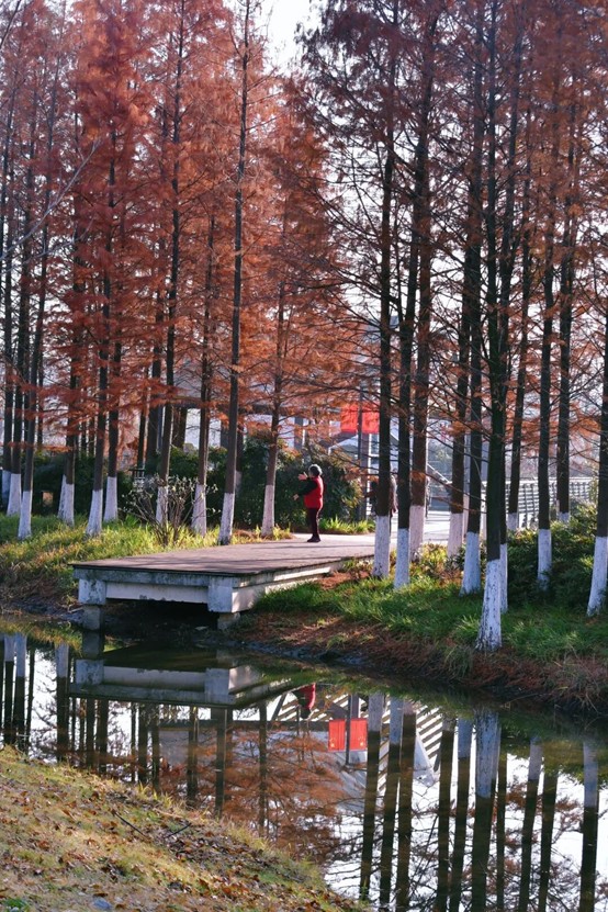 2026逛青浦环城水系公园指南 2026逛青浦环城水系公园指南