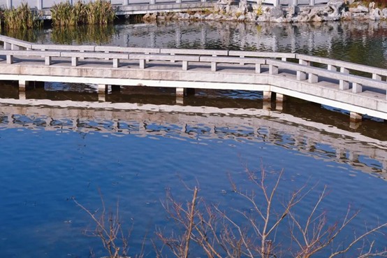 2026逛青浦环城水系公园指南 2026逛青浦环城水系公园指南