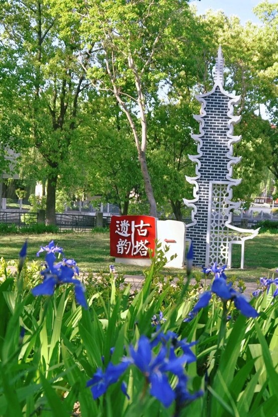 2026逛青浦环城水系公园指南 2026逛青浦环城水系公园指南