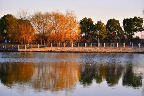 2026逛青浦环城水系公园指南 2026逛青浦环城水系公园指南