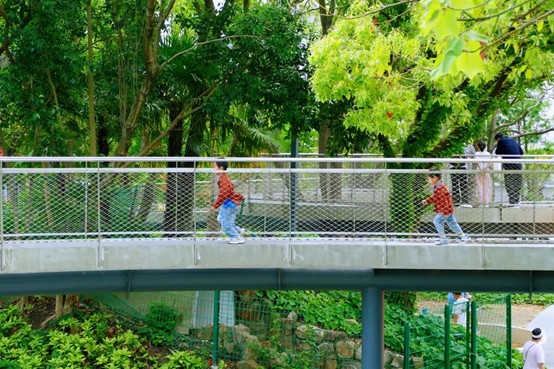 2026逛青浦环城水系公园指南 2026逛青浦环城水系公园指南