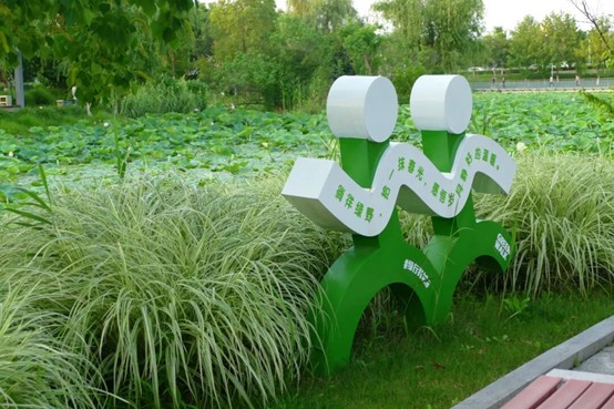 2026逛青浦环城水系公园指南 2026逛青浦环城水系公园指南