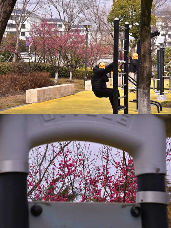 2026逛青浦环城水系公园指南 2026逛青浦环城水系公园指南