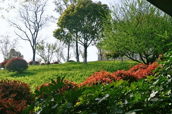 2026逛青浦环城水系公园指南 2026逛青浦环城水系公园指南