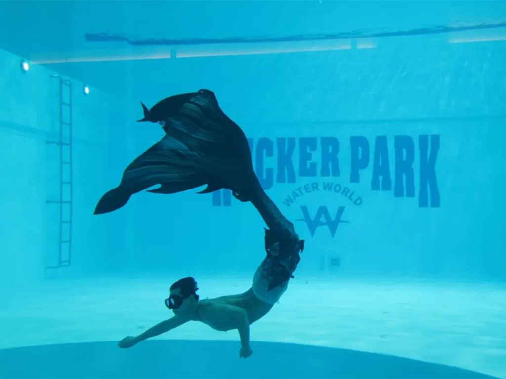 国内最高水平！这场比赛在青浦举行