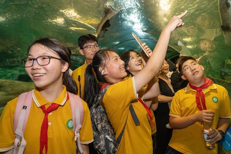 筑梦青励研学 共建国家安全——区退役军人局组织开展暑期中小学生双拥和国防教育主题活动