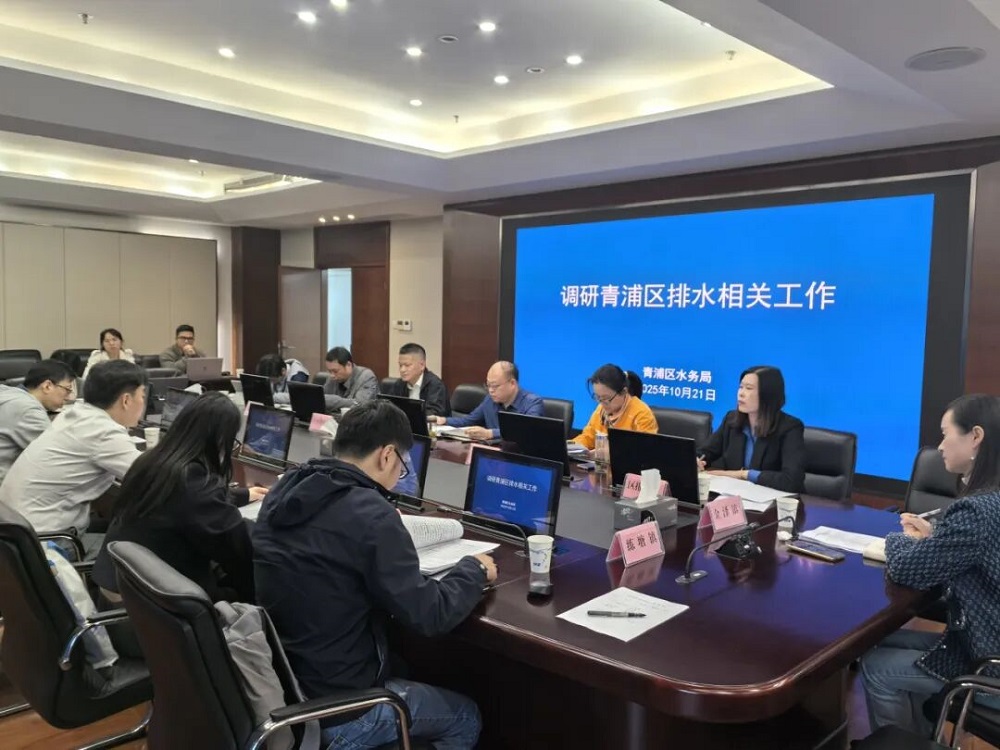 市河长处来青开展排水工作调研