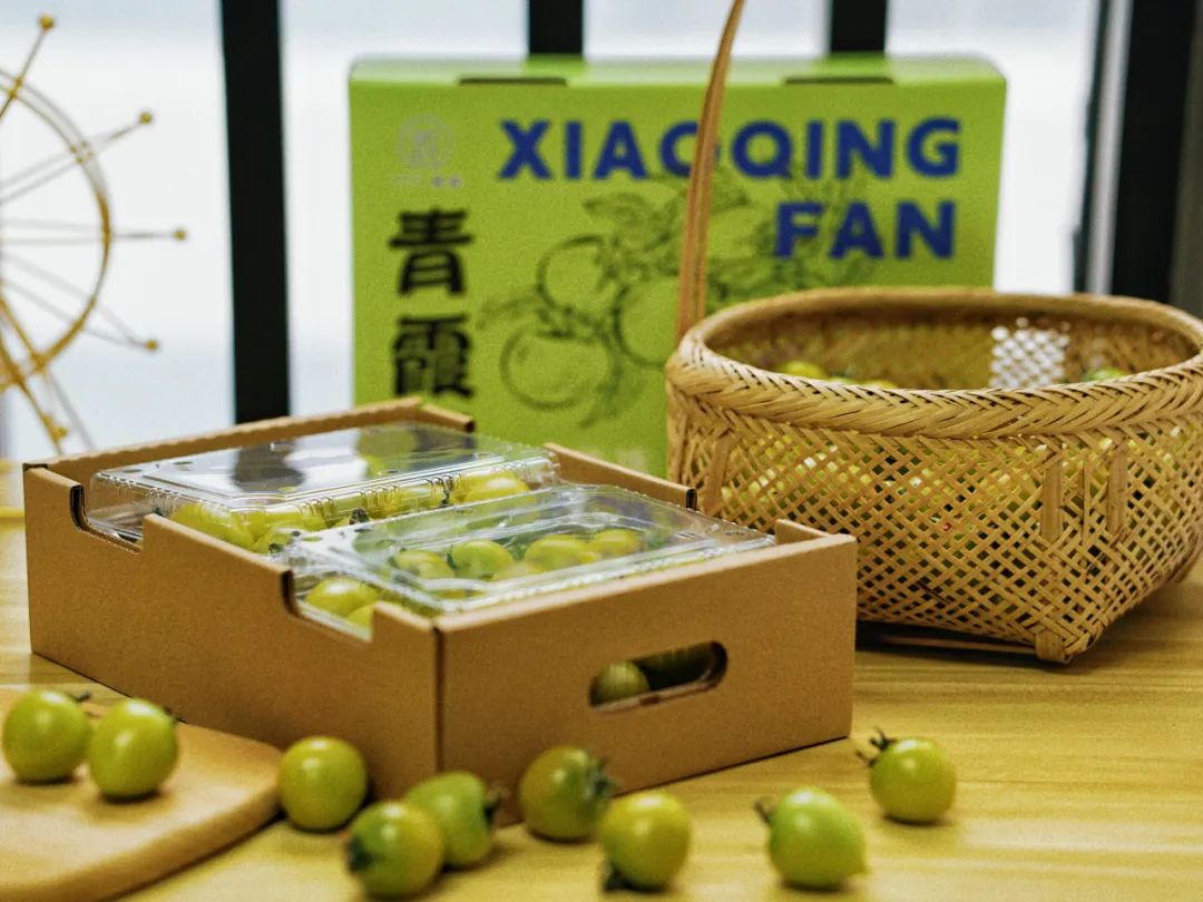 青浦区香花桥街道这家合作社的小番茄上市啦！