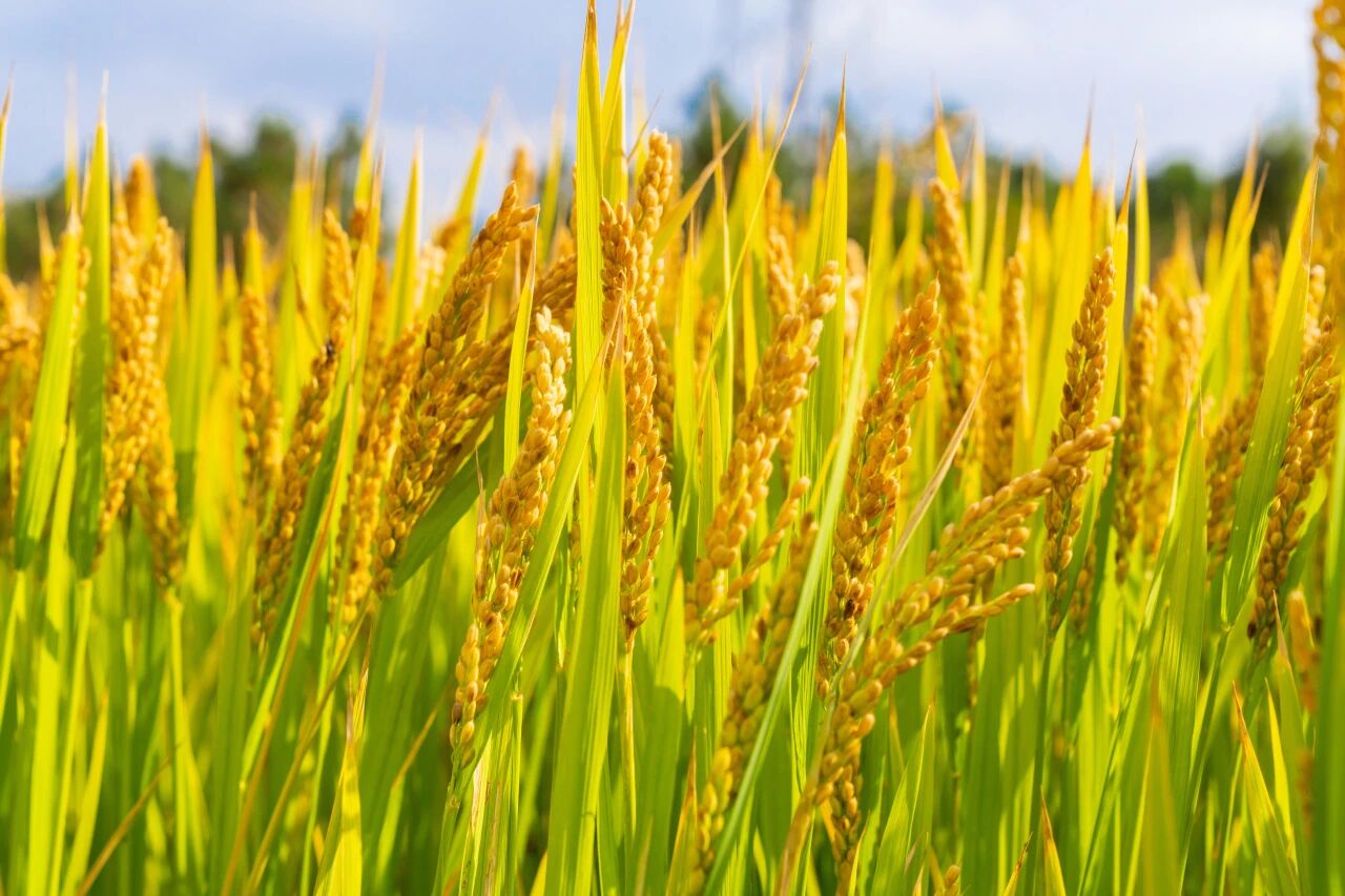 1212_155019_497.jpg 22222.jpg