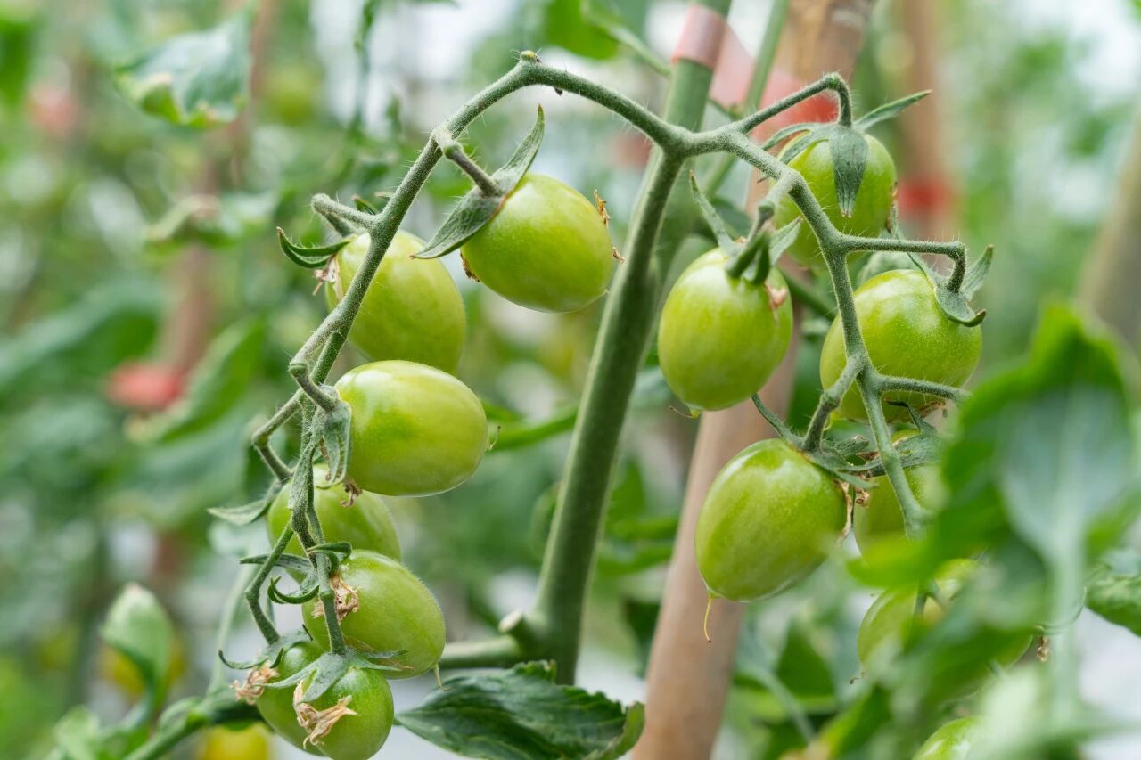 1212_155047_985.jpg 33333.jpg