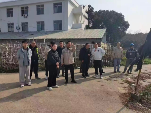 网格联动强排查 电力护航守民安——青浦区香花桥街道新姚村农村自建房安全隐患整治见实效