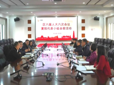 夏阳街道开展区六届人大六次会议夏阳代表小组会前活动