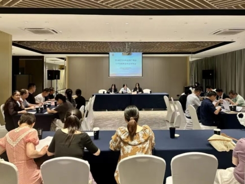区医保局召开2025年第二季度DIP特例单议专家评审会