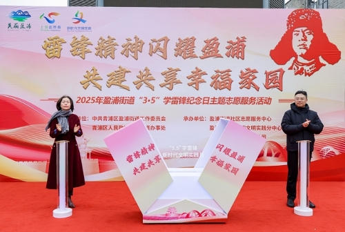 雷锋精神闪耀盈浦 共建共享幸福家园——盈浦街道开展2025年“3.5学雷锋日”主题活动