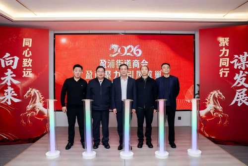 聚力拓新 盈动未来——盈浦街道商会年度总结大会顺利召开