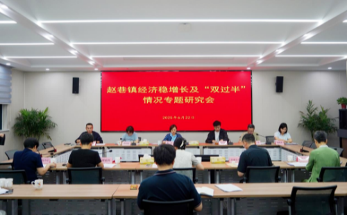 赵巷镇召开专题会议，奋力推进经济稳增长、任务“双过半”