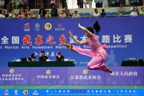 狂揽19金！赵巷健儿助阵青浦武术队闪耀全国赛场