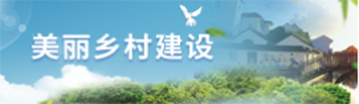 美丽乡村建设