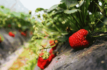 640 (1).gif