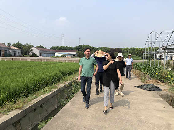参观科技创新基地水稻新品种选育、品种展示和水稻病虫测报区域.JPG