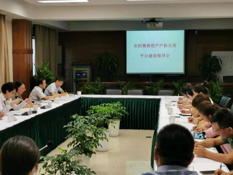 集中业务指导.jpg