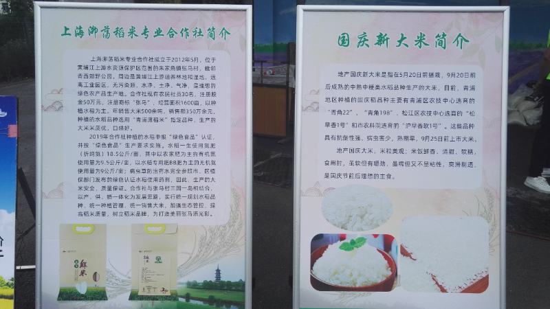 大米简介.jpg