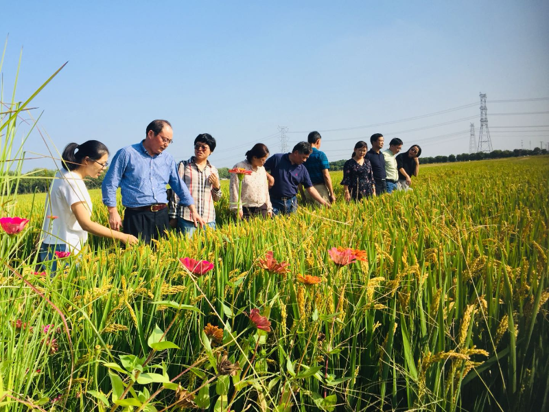 核查员进行实地检查.jpg