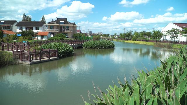 0227_164027_642.jpg
