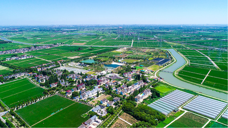 张马.JPG
