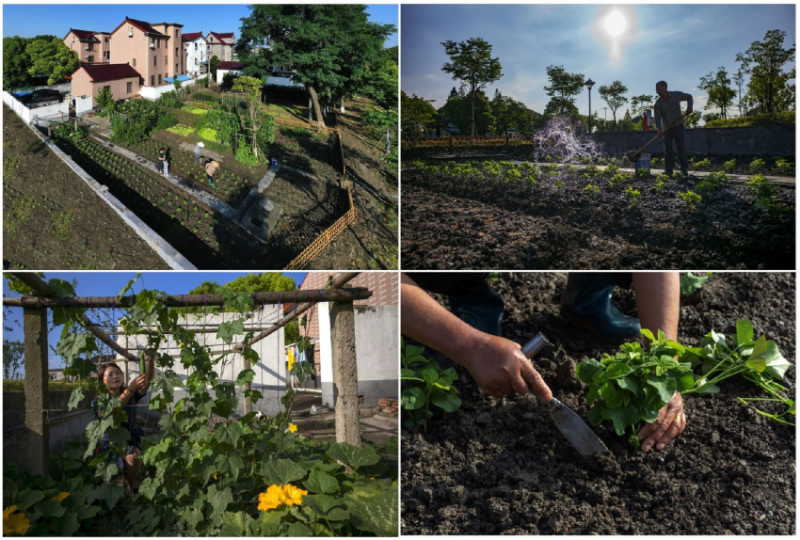 0302_082727_771.jpg 修1 景点4:蔬圃叠翠1.jpg