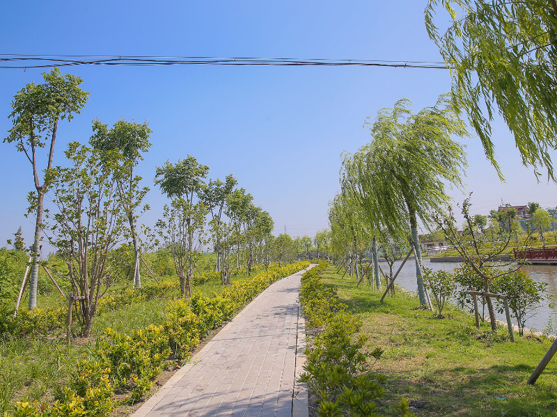 0302_082957_696.jpg 崧塘河道边的健身步道2.jpg