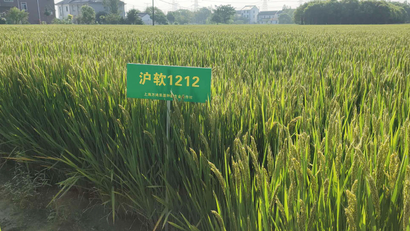 微信图片_20200413091522.jpg