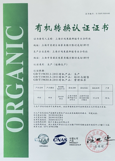 ab3305b7df8d493e20f31793862169e.jpg