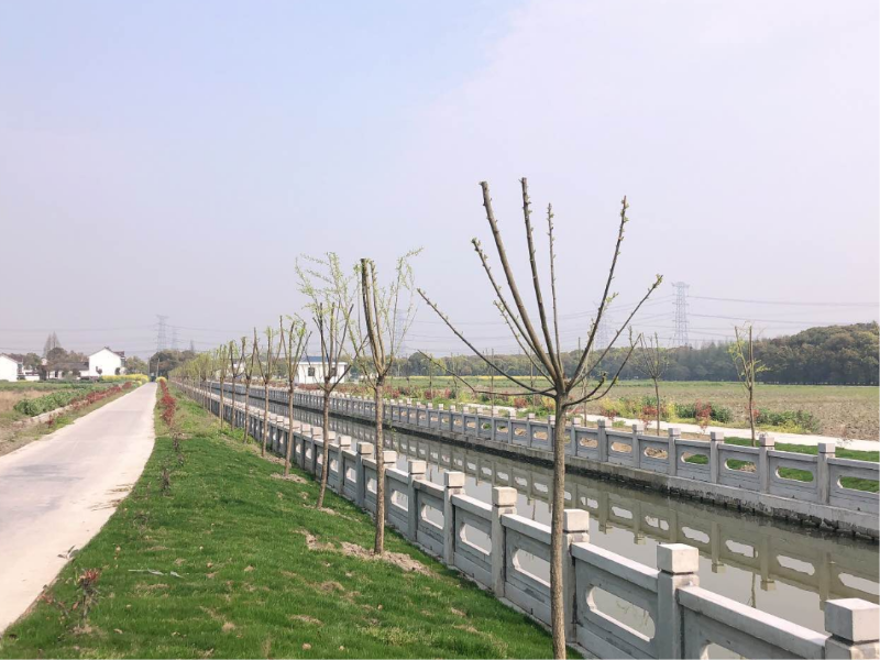 0629_092156_334.png 微信截图_20200302134355.png