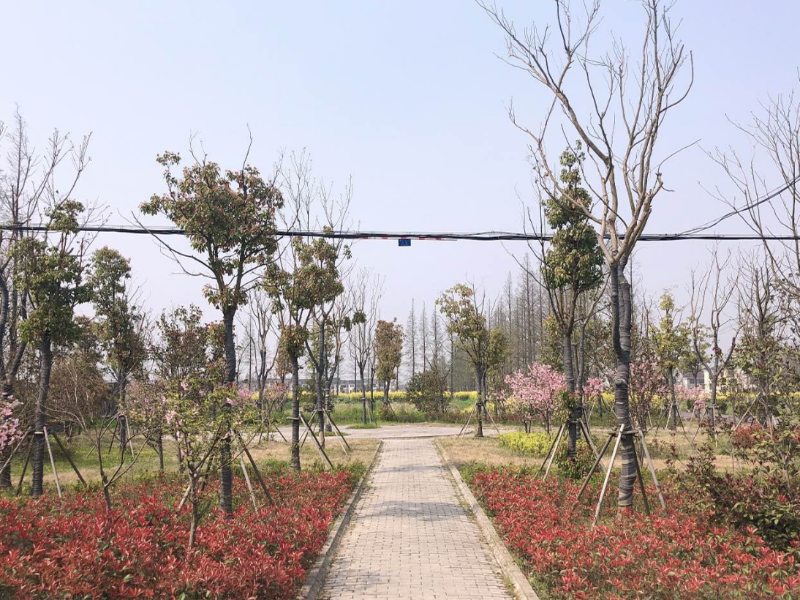 0629_092449_837.png 微信截图_20200302134410.png