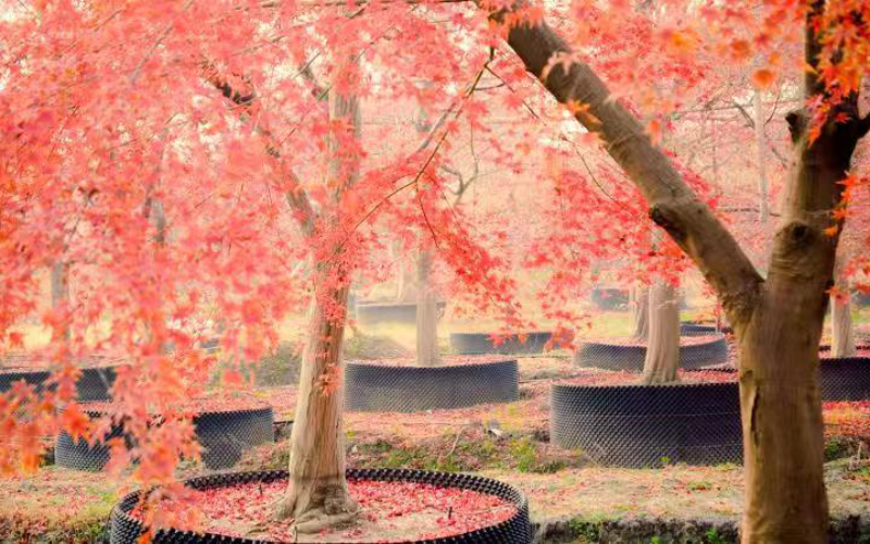 0707_110605_659.jpg a7c54c07c89ce65fad1b59396416c10.jpg