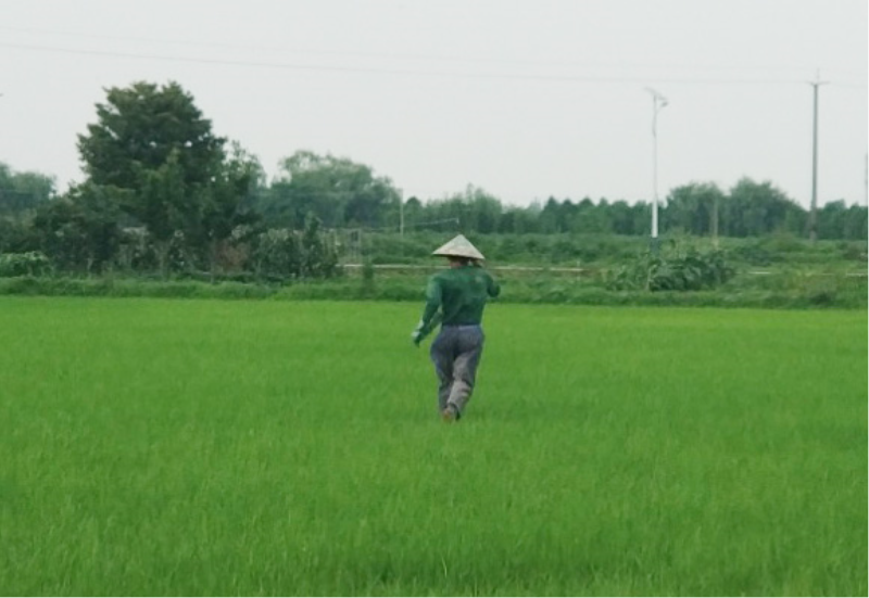 0716_091115_844.jpg 微信图片_20200622095543.jpg