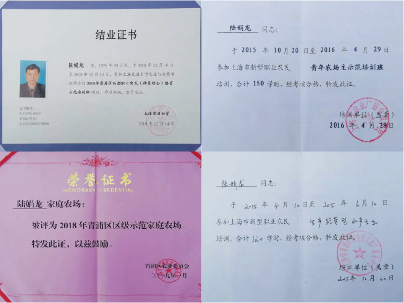 0716_091302_114.jpg 未标题-1_画板 1.jpg