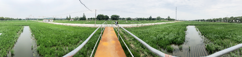 稻虾综合种养示范基地1.jpg