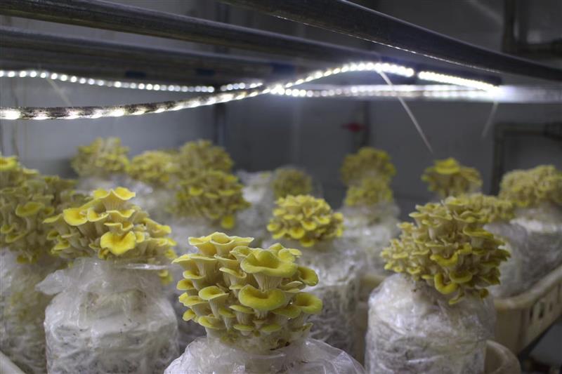 0910_083418_596.jpg 1.jpg