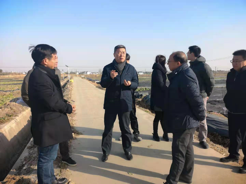 金俊峰副区长实地调研青浦区蔬菜寒潮受损和保供情况