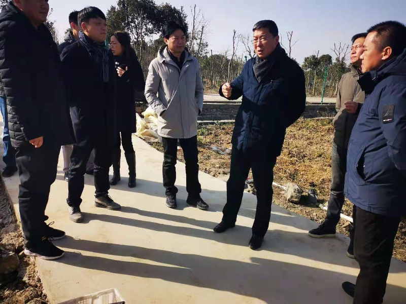 金俊峰副区长实地调研青浦区蔬菜寒潮受损和保供情况