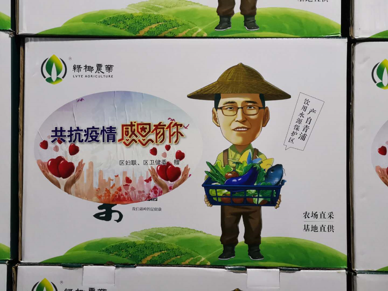 绿椰.jpg