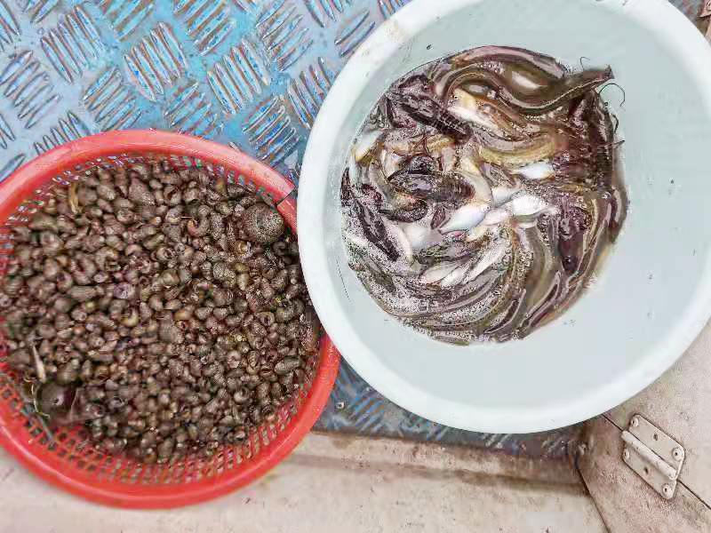 0310_085457_547.jpg 收缴的渔获物20210303.jpg