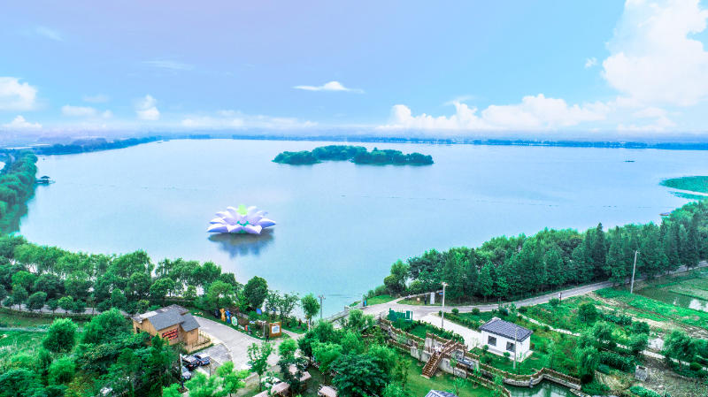 莲湖大莲湖.jpg