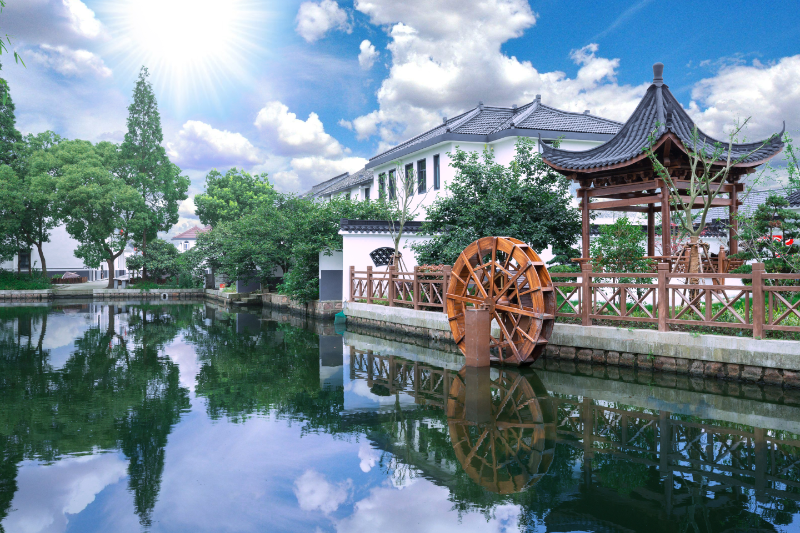 莲湖一偶.jpg