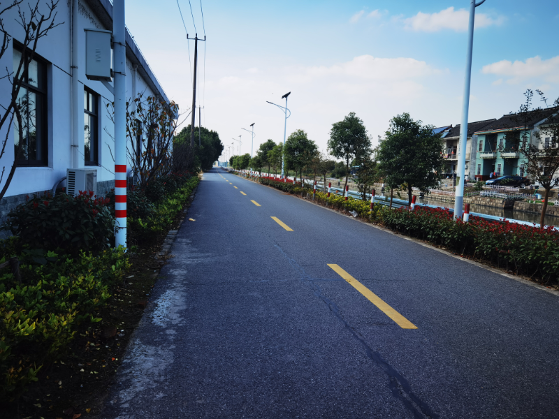 道路绿化.jpg