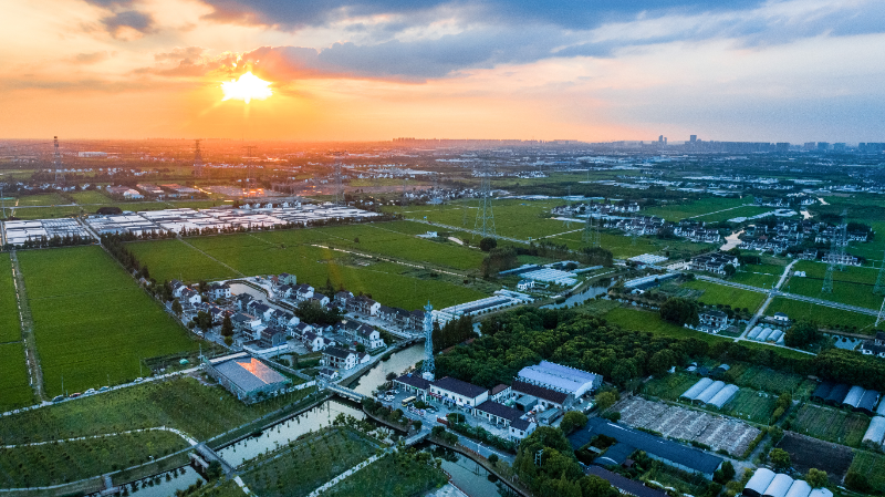 2020年度上海市美丽乡村示范村——重固镇新丰村