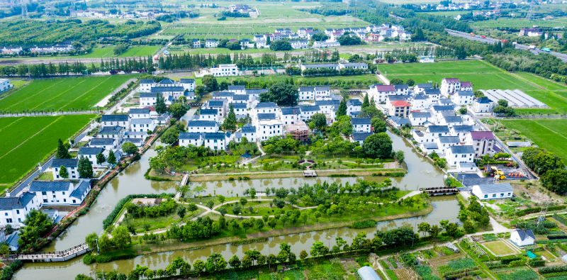 DJI_0231.jpg